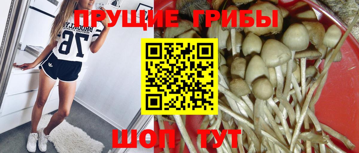 Галлюциногенные грибы мухоморы Фрязино